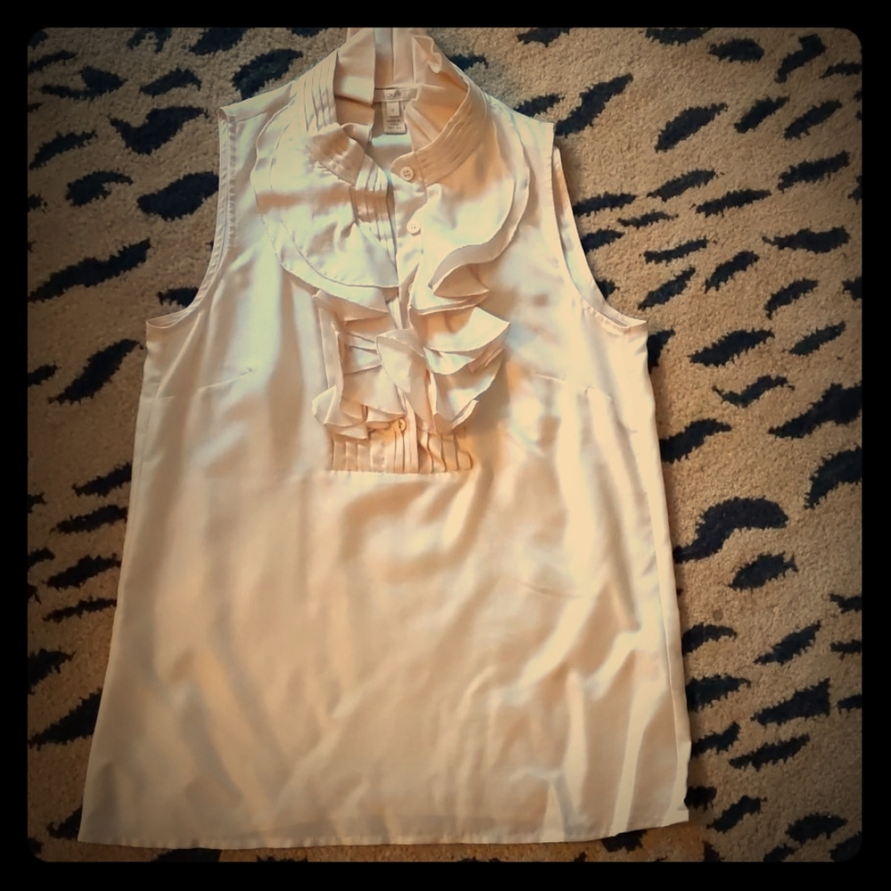 Light Pink Silk Sleeveless Dress Shirt by JCrew
